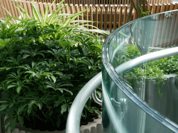 Cửa Kính Cường Lực Mặt Tiền – Tăng Độ Sang Cho Không Gian Kinh Doanh